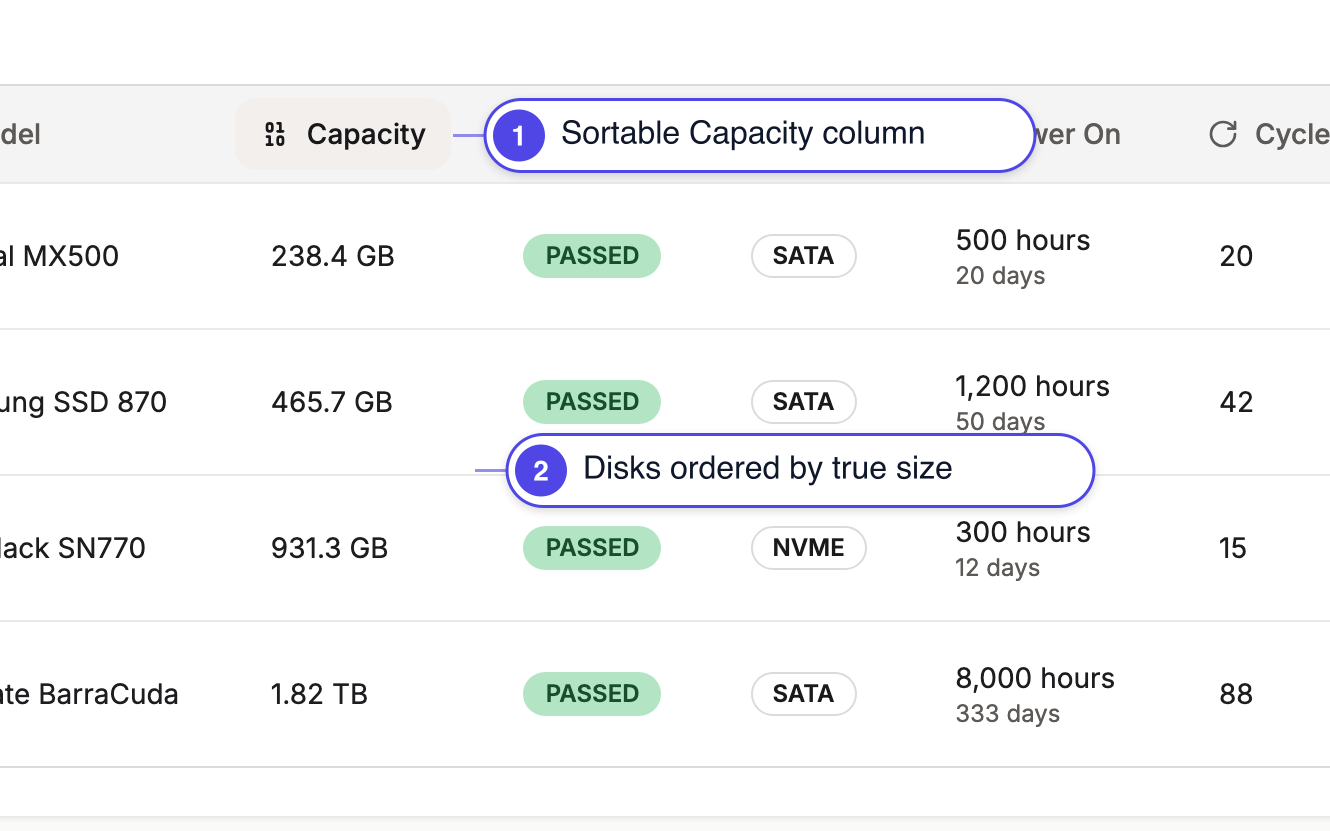 Sort SMART table by disk capacity